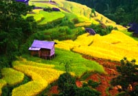 VOYAGE VIETNAM HORS SENTIERS BATTUS